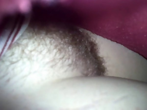 The wifes hirsute pussy while she was sleeping
