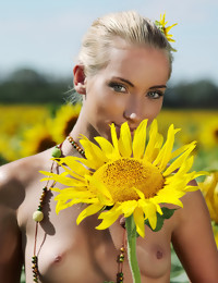  Amidst a large field of sunflowers in full bloom, Adele's natural beauty is the fairest of 'em all as that babe confidently poses her gorgeous body with perfectly erect nipples under the warm sun.