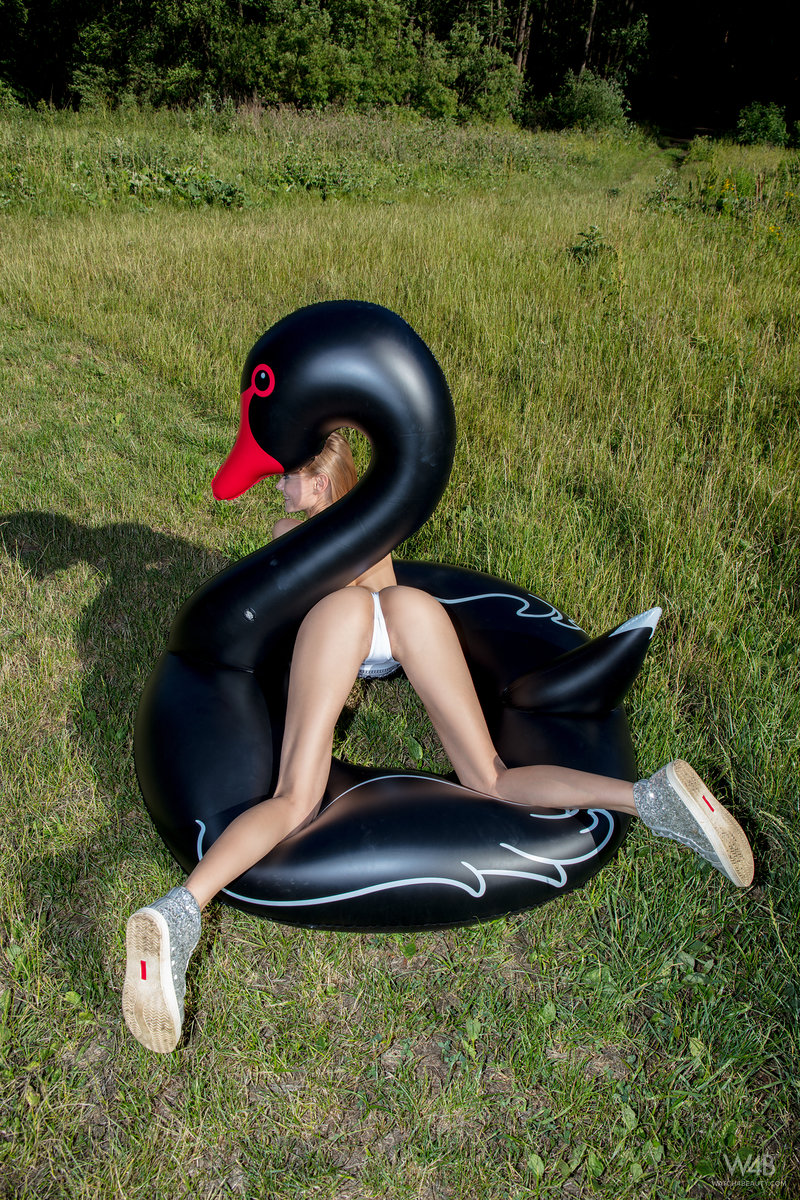 Swan Erotic Photos