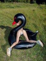 erotic Swan set5