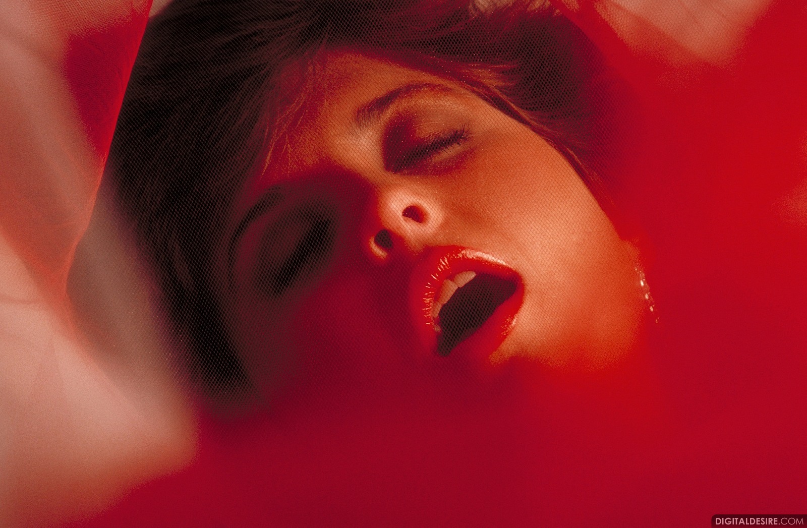 Julia Parton Erotic Photos